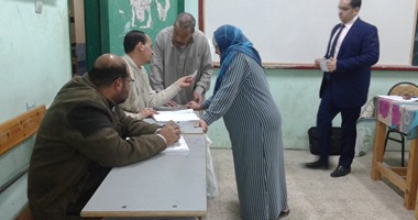 عمليات جنوب سيناء: 17% نسبة التصويت بلجان المحافظة حتى الآن