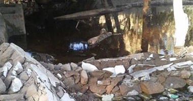 صحافة المواطن: بالصور .. قرية فارس بأسوان تغرق فى مياه الصرف الصحى