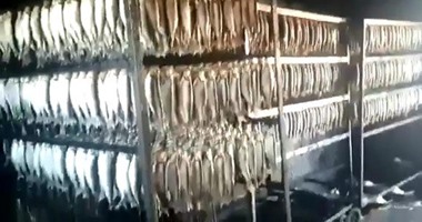طوارئ ببيطرى الغربية وحملات على مصانع الأسماك أثناء احتفالات شم النسيم