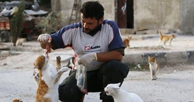 للرحمة وجوه كثيرة.. شاب يرفض ترك سوريا لإطعام 150 قطة