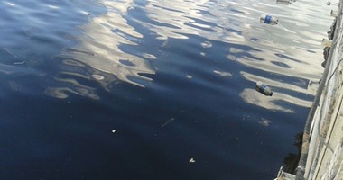 أهالى فوه بكفر الشيخ: "تلوث مياه النيل ونفوق الأسماك أصابنا بالأمراض"