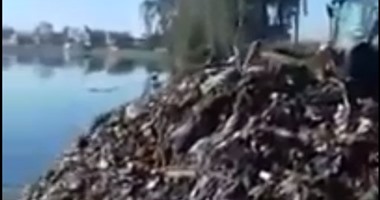 صحافة المواطن.. سيارات محافظة الغربية تلقى بالقمامة فى مياه النيل