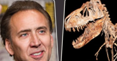 نيكولاس كيدج يعيد جمجمة ديناصور نادرة للسلطات بعد شرائها بـ276 ألف دولار
