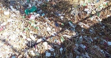 صحافة المواطن.. بالصور.. القمامة تملأ قرية صندفا فى بنى مزار بالمنيا