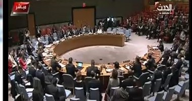 مندوب مصر بالأمم المتحدة: ما يحدث فى سوريا "حرب بالوكالة"
