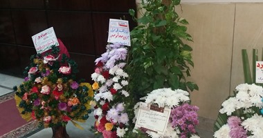 بالصور..الورود تملأ طرقات ديوان عام محافظة الغربية لاستقبال المحافظ الجديد 