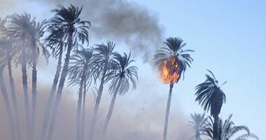 السيطرة على حريق محدود فى أشجار نخيل بنجع الجسور بمدينة الطود