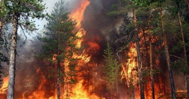 حريق بالأشجار المحيطة لسنترال العتبة.. والإطفاء تحاول إخماده 