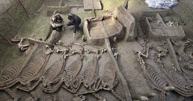 بالصور..  اكتشاف مقبرة للخيول بالصين يرجع تاريخها لـ 2500 سنة