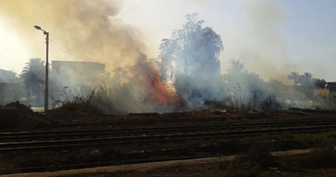 حريق بمزرعة الصرف الصحى فى سوهاج والنيران تلتهم فدانا من الأشجار الجافة 