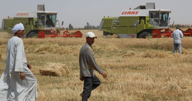 "الزراعة": بدء استصلاح 138 ألف فدان بتوشكى تنفيذًا لمشروع "الرئيس" عقب أجازة العيد.. وتنفيذ المليون فدان يتم بالتوازى لاستكمال مشروعات بـ 12منطقة.. 50% من المساحات المستصلحة من صندوق تحيا مصر للشباب