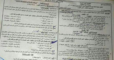 تداول ورقتين على "تويتر" زعم ناشروهما أنهما لامتحان النصوص والنحو 