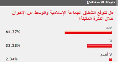 64% من القراء يتوقعون انشقاق الجماعة الإسلامية والوسط عن الإخوان