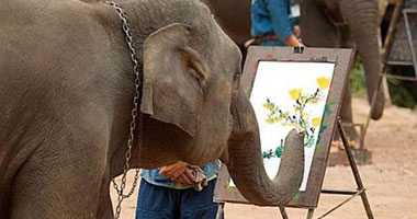 أنثى فيل موهوبة فى براغ ترسم لوحات فنية