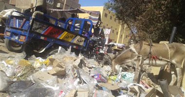  القمامة تنتشر فى كوم أمبو بأسوان والأهالى يطالبون بزيادة حاويات النظافة