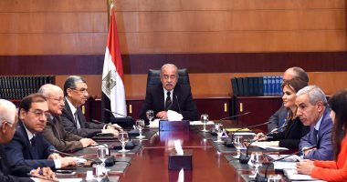 رئيس الوزراء: استمرار التنسيق بين مصر والصين لإنهاء المشروعات المشتركة