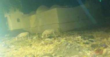 شكوى من انتشار القمامة والحيوانات حول كنيسة مارمينا الأثرية بالمنيا 