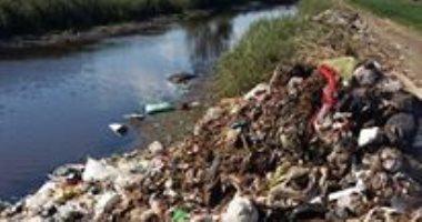 صحافة المواطن.. قارىء يشكو من انتشار القمامة على طريق بشبيش بالمحلة