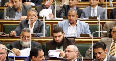 نائب برلمانى يتهم المجلس بالإهمال: النواب لم يقوموا بالدور المنوط بهم