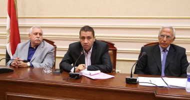 بالصور.. لجنة المشروعات بالبرلمان ترتب لاجتماع بحضور طارق عامر لحل أزمة البطالة