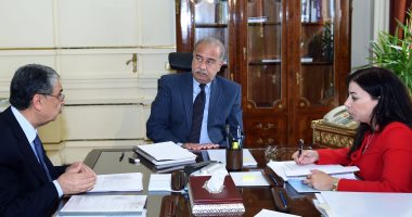 رئيس الوزراء يبحث محفزات الاستثمار فى مجال الطاقة المتجددة