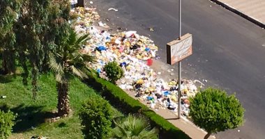 بالفيديو.. القمامة تحاصر هيئة الطاقة بمدينة نصر.. والأهالى يستغيثون
