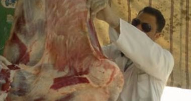 إعدام كميات من اللحوم الفاسدة بحملة بيطرية بمنية النصر