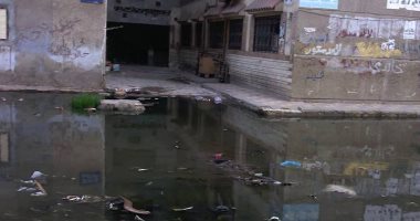 قرية البصراط بالدقهلية تغرق فى مياه الصرف الصحى