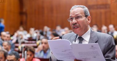 علاء عبد المنعم يعلن استعداده للترشح لرئاسة ائتلاف "دعم مصر"