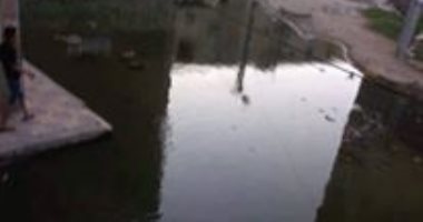 صحافة المواطن.. مياه الصرف الصحى تغرق قرية البصراط بمحافظة الدقهلية