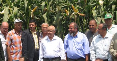  زراعة الغربية تحتفل بيوم حصاد الذرة الشامية بمركز بسيون
