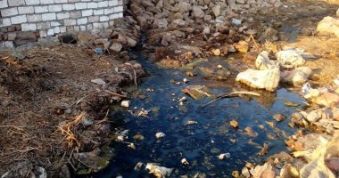 بالصور.. المياه الجوفية تهدد منازل قرية شطب البلد بأسوان