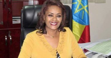 مصادر أثيوبية: أديس أبابا توقع عقود بيع الكهرباء لتنزانيا خلال الأسبوع الجارى