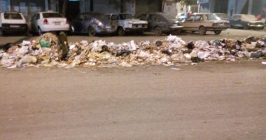 بالصور.. انتشار القمامة بشوارع عين شمس فى غياب تام لرجال النظافة