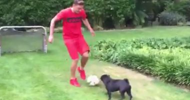 بالفيديو .. مسعود أوزيل يلعب كرة القدم مع "كلبه"