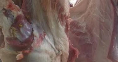 بيطرى ميت غمر: ضبط 129 كيلو لحم مذبوح خارج المجازر ومواطن يعتدى على الحملة