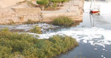 بالفيديو والصور.. إلقاء مياه الصرف الصحى فى نهر النيل بأسوان
