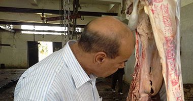 حملات على الأسواق بالدقهلية للتفتيش على اللحوم والسلع قبل استقبال العيد