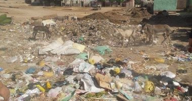 رغم مبادرة حلوة يا بلدى بأسيوط.. سكان المحافظة يستغيثون من الغرق فى أكوام القمامة