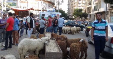 شوادر الجزارين فى شارع الرصافة بالإسكندرية تعيق حركة المواطنين