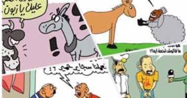 العيد لحمة..الحمير تسرق الكاميرات من الخرفان.. فى كاريكاتير اليوم السابع