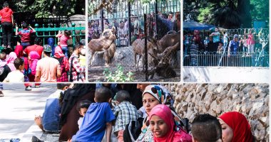 فتح حديقة الحيوان مجاناً للمواطنين غداً بمناسبة العيد القومى لمحافظة الجيزة