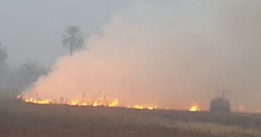 البيئة تحرر 607 مخالفات حرق قش الأرز لمزارعين بالشرقية