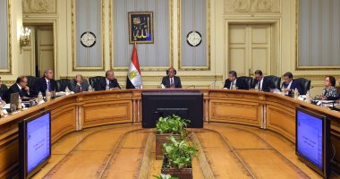 الحكومة تعتمد لائحة موارد وحدة النيل الدولية البشرية ومدارسها المصرية