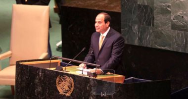 بالفيديو.. السيسى: الشعب المصرى فرض إرادته لتحقيق الاستقرار وحماية الدولة ومؤسساتها