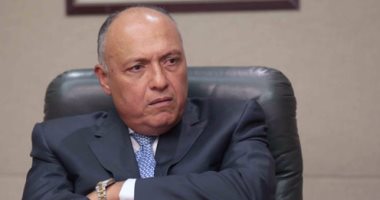 الخارجية: فوز مصر فى المجلس التنفيذى لـ"الإيكاو" لمكانتها إقليميا ودوليا