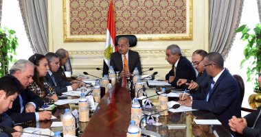 الحكومة: شركة دولية للتأكد من مطابقة شحنات فول الصويا للمواصفات المصرية