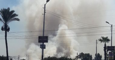 بالصور.. مواطن يرصد عمليات حرق قش الأرز على طريق جمصة السياحى