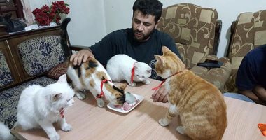 بالصور.. "الرجل القط" سورى يقرر البقاء وسط القصف فى حلب لرعاية القطط  