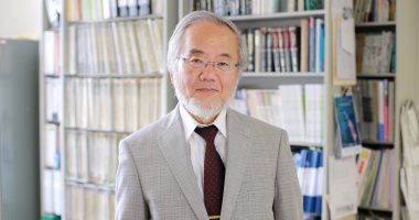 منح جائزة نوبل للطب العام لليابانى أوسومى لأبحاثه عن الإلتهام الذاتى للخلايا